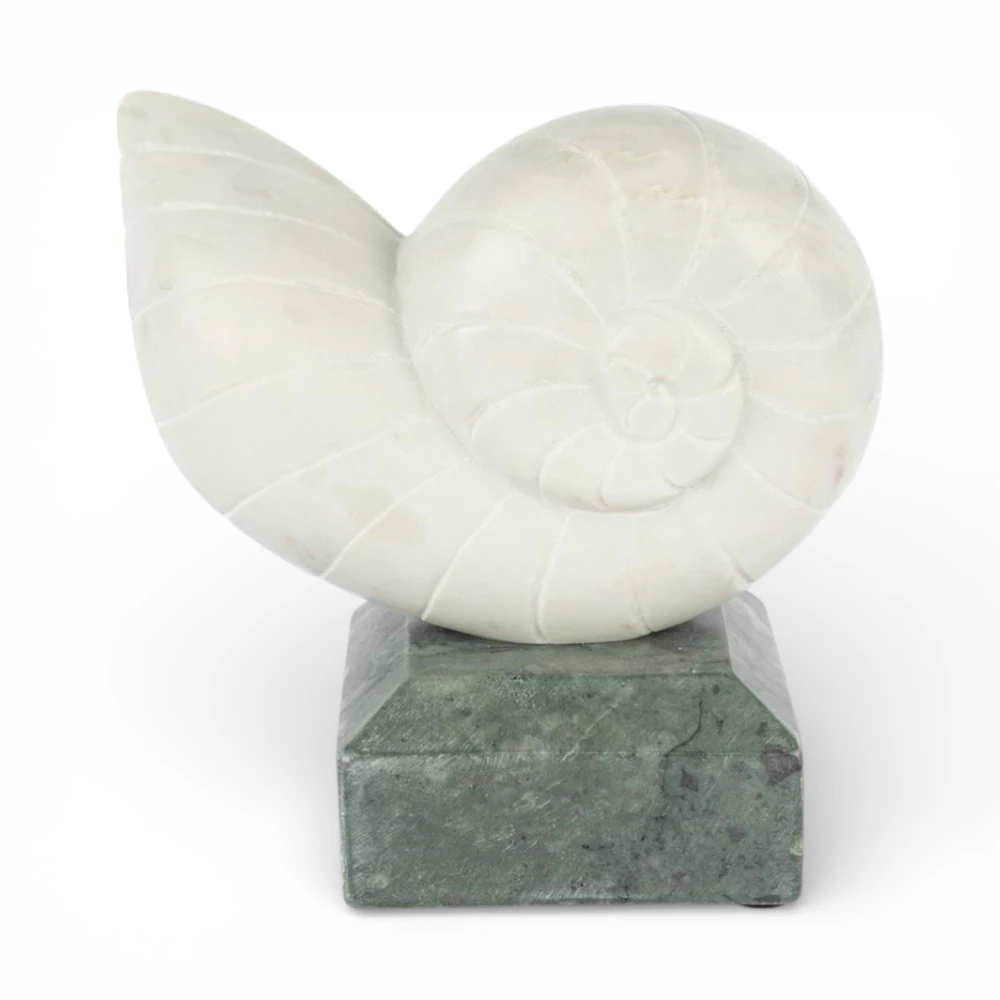 Deniz Kabuğu Mermer Obje