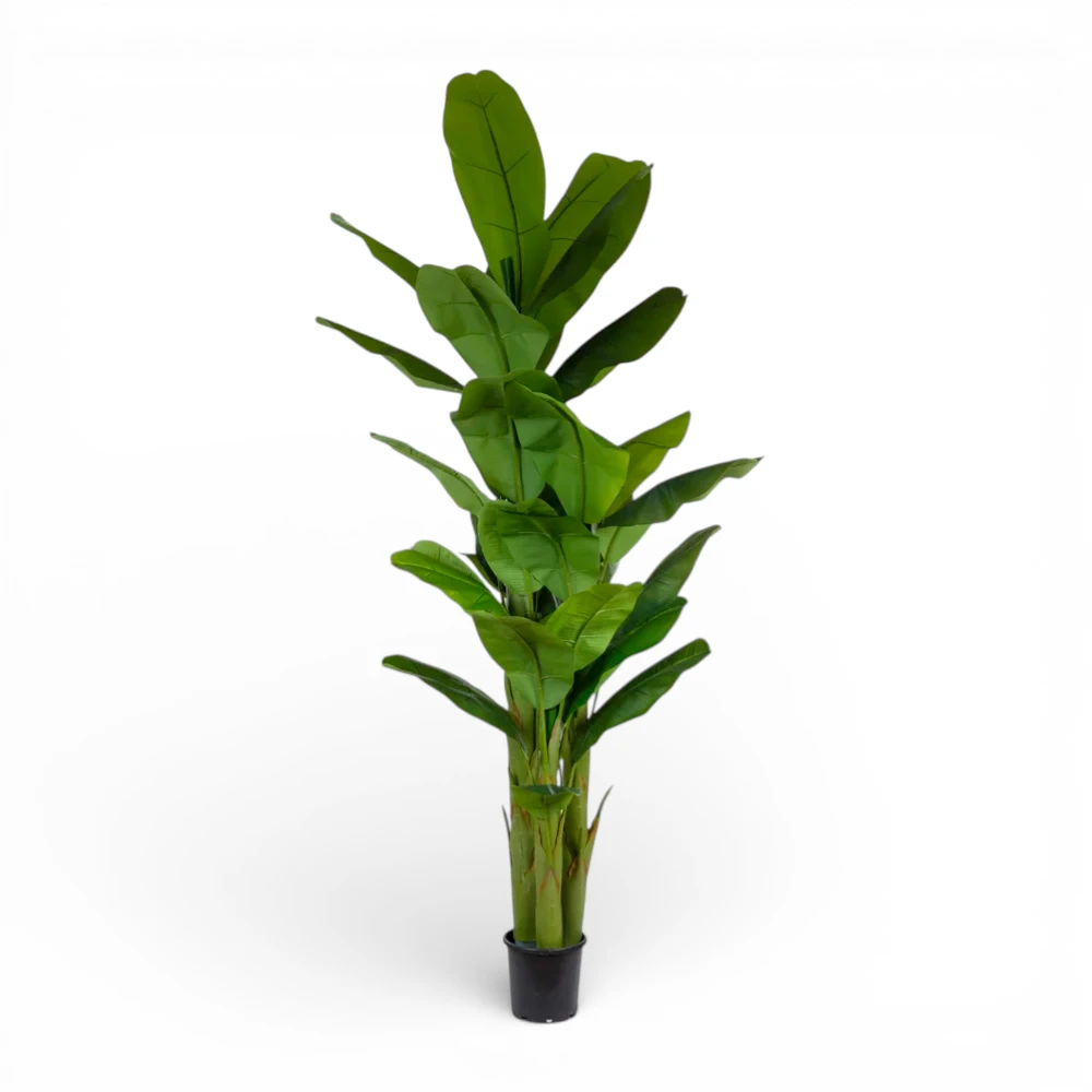 Floria Yapay Ağaç Muz 230 CM