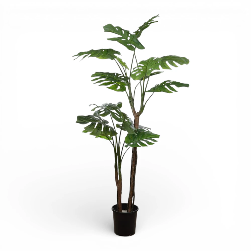 Floria Yapay Ağaç Monstera  160 CM